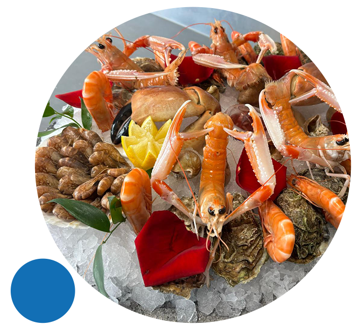 Plateaux de fruits de mer à Olivet (45)