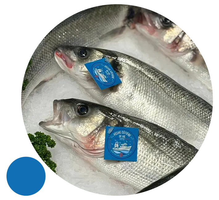 Poissonnier à Olivet (45)