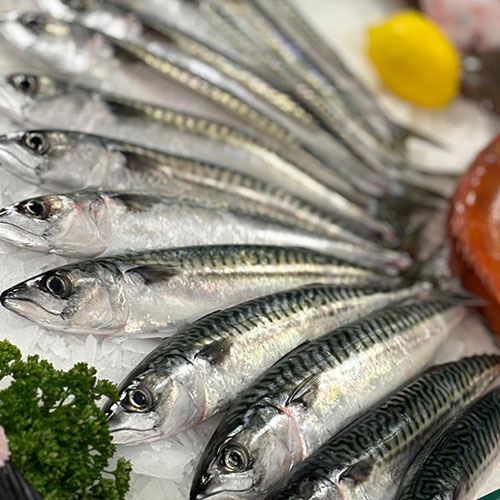 Poissonnerie à Olivet dans le Loiret