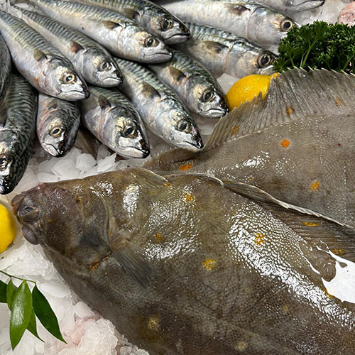 Poissonnerie à Olivet près de Saint-Pryvé-Saint-Mesmin