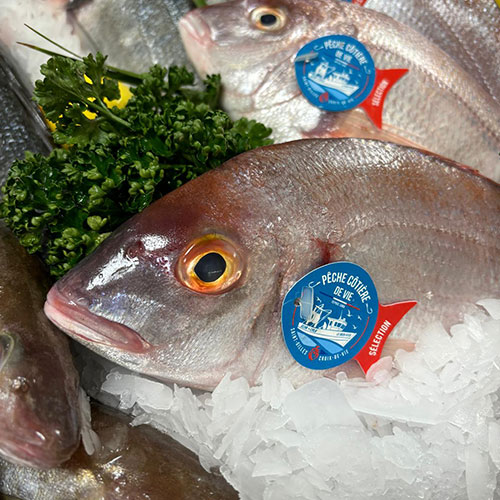 Poissonnerie près de Saint-Pryvé-Saint-Mesmin dans le Loiret