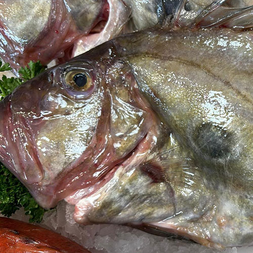 Poissonnerie près d'Orléans dans le Loiret (45)