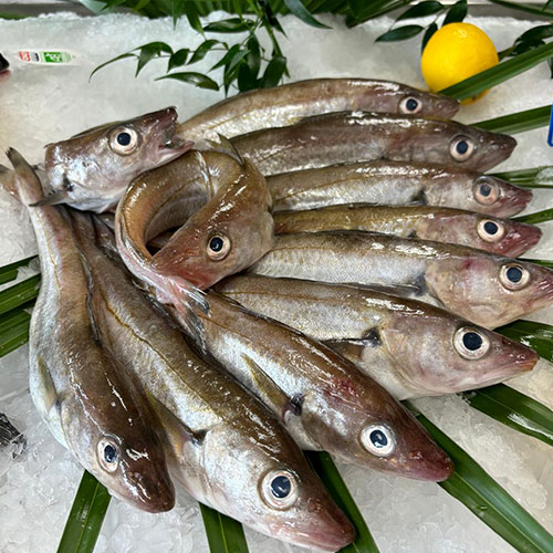 Poissonnerie près d'Orléans dans le Loiret