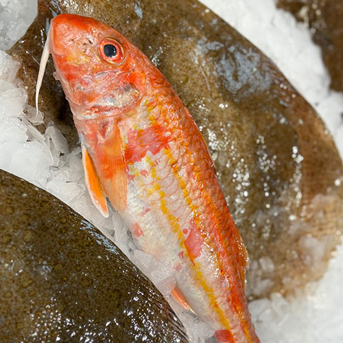 Poissonnerie à Olivet près d'Orléans (45)