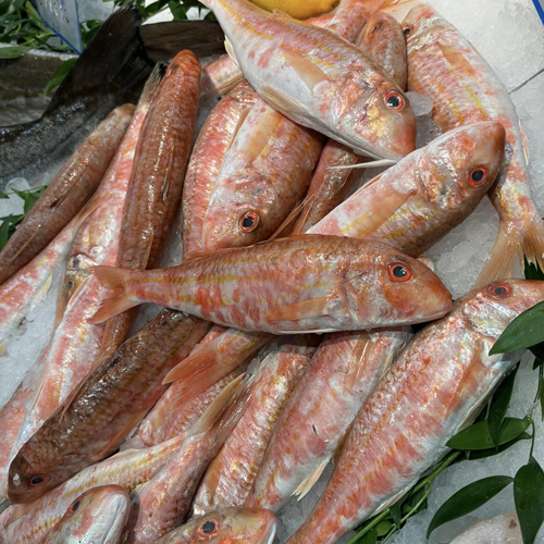 Vente de poissons entiers à Olivet (45)